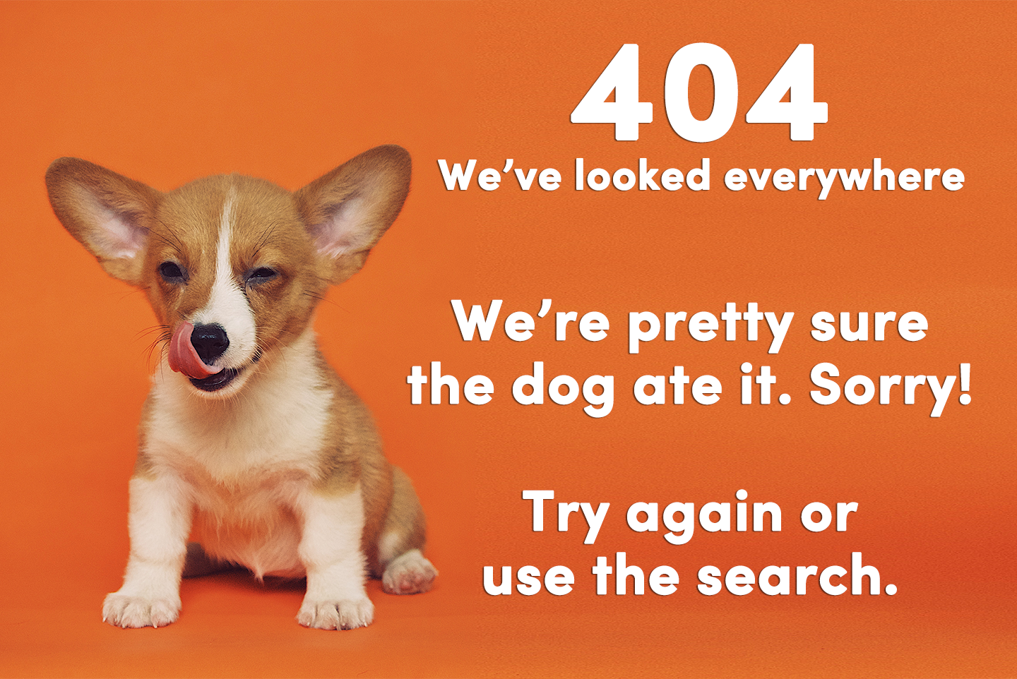 404 - We've Looked Everywhere